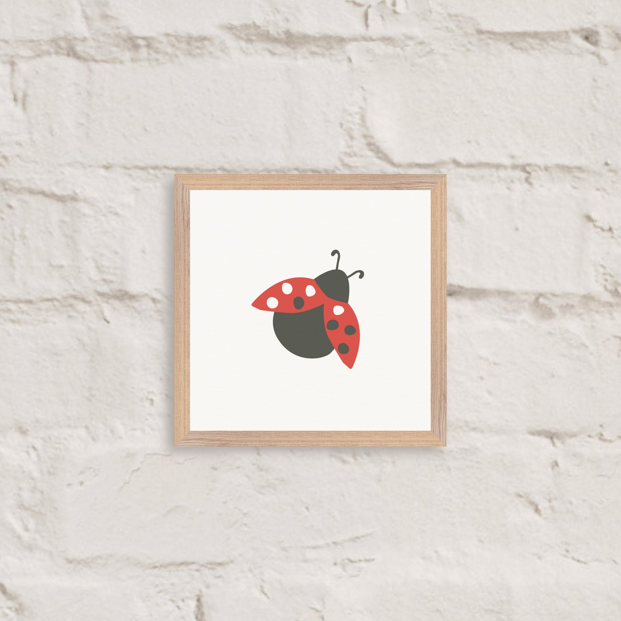 High Contrast Ladybug